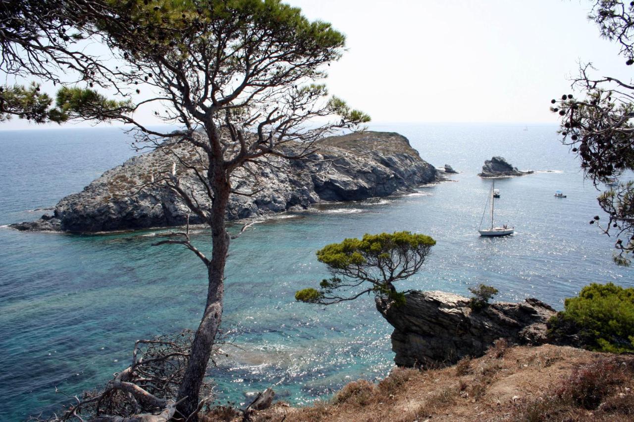 T2 Vue Mer 50M De La Plage A Giens Hyeres Exterior photo
